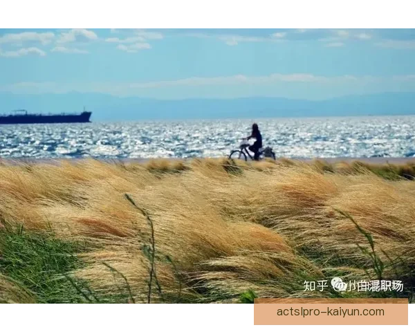 伊尼亚基职业轨迹分析与未来发展趋势受关注